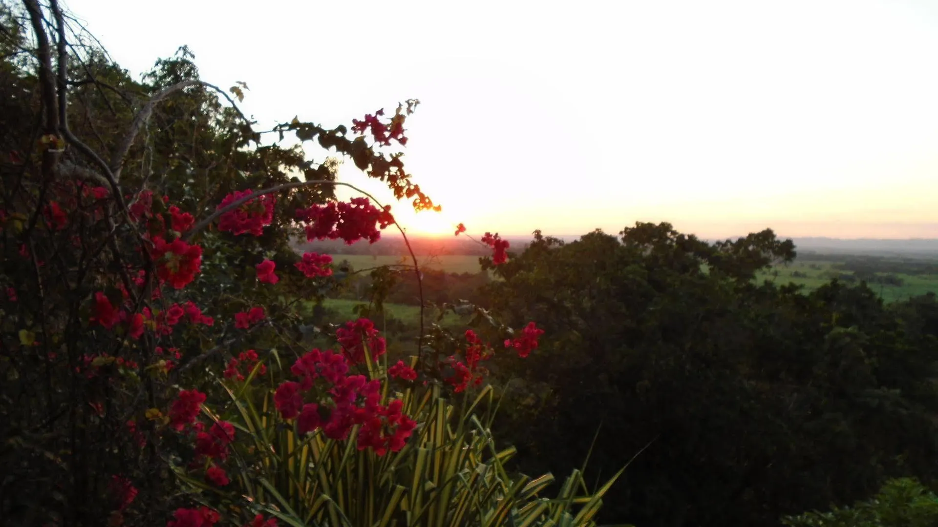 ホテル Sunset Heal Jamaica Caledonia